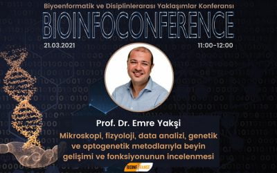 Prof. Dr. Emre Yakşi – Mikroskopi, Fizyoloji, Data Analizi, Genetik ve Optogenetik Metodlarıyla Beyin Gelişimi ve Fonksiyonunun İncelenmesi – 21 Mart 2021 Bioinfoconference