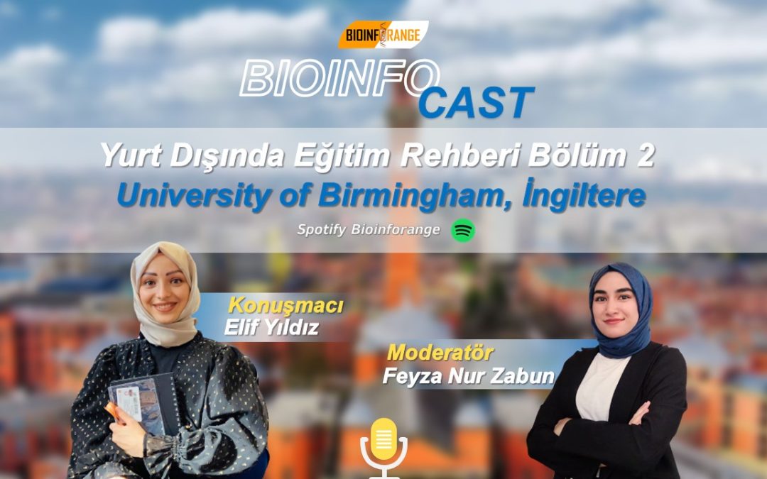 Yurt Dışında Eğitim Rehberi Bölüm 2- University of Birmingham, İngiltere
