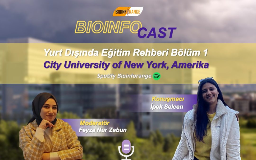 Yurt Dışında Eğitim Rehberi Bölüm 1- City University of New York, Amerika