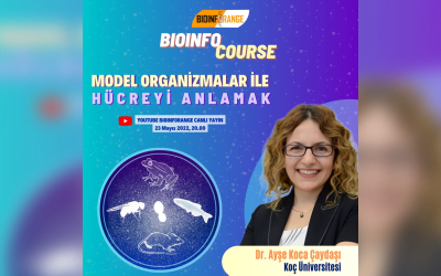 Dr. Ayşe Koca Çaydaşı | Model Organizmalar ile Hücreyi Anlamak | 23 Mayıs 2022 Bioinfocourse
