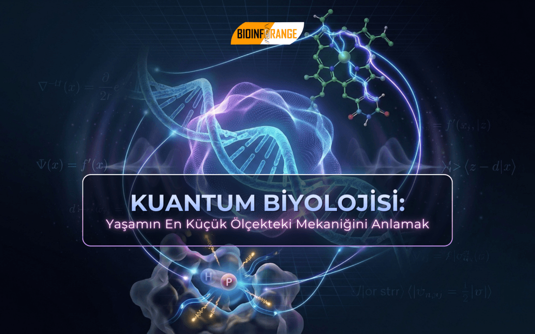 Kuantum Biyolojisi: Yaşamın En Küçük Ölçekteki Mekaniğini Anlamak