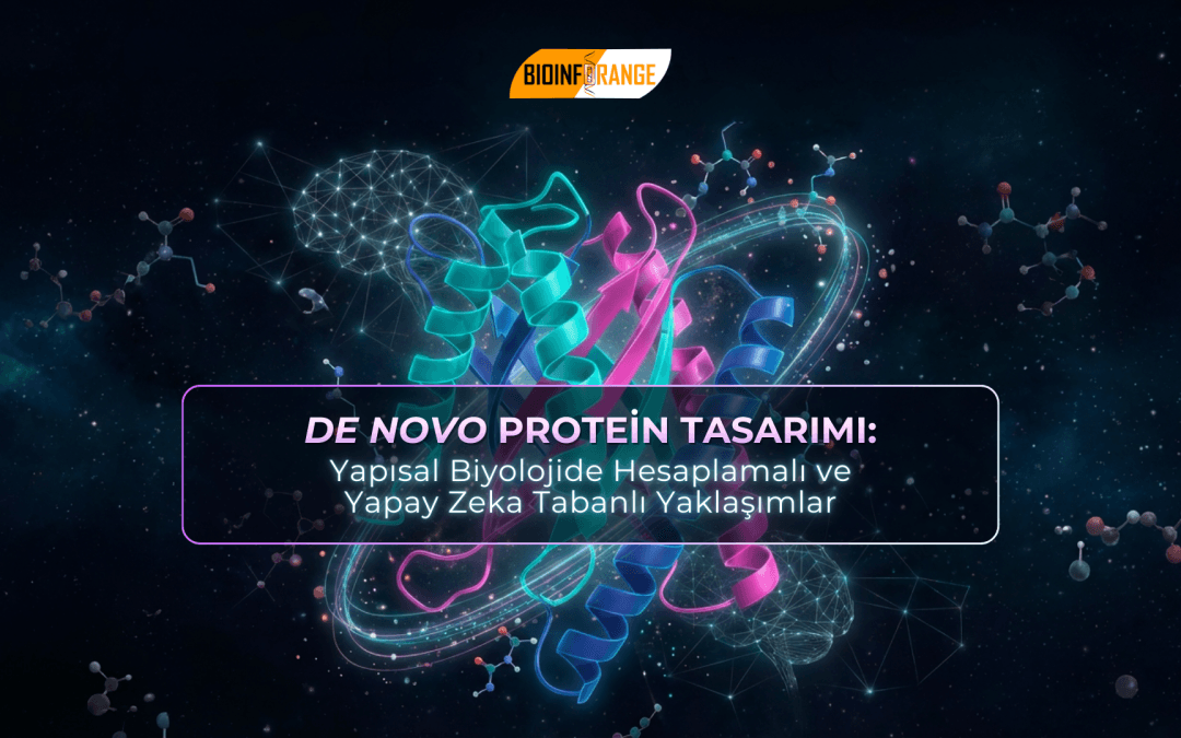 De novo Protein Tasarımı: Yapısal Biyolojide Hesaplamalı ve Yapay Zeka Tabanlı Yaklaşımlar