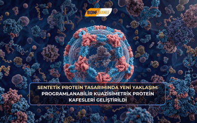 Sentetik Protein Tasarımında Yeni Yaklaşım: Programlanabilir Kuazisimetrik Protein Kafesleri Geliştirildi