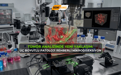 Tümör Analizinde Yeni Yaklaşım: Üç Boyutlu Patoloji Rehberli Mikrodiseksiyon