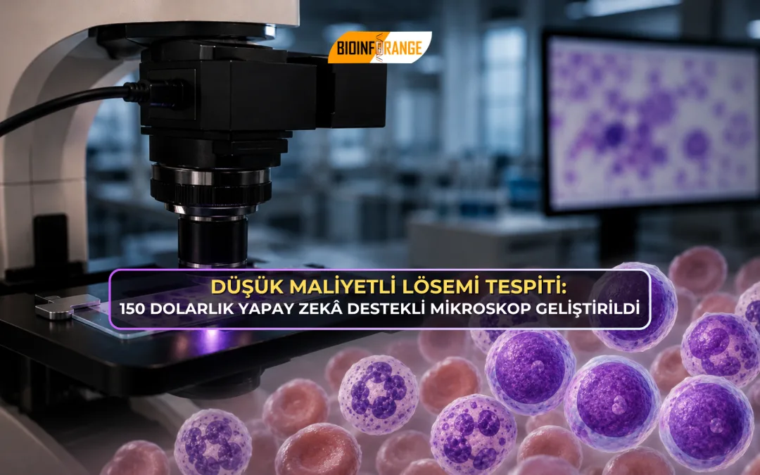 Düşük Maliyetli Lösemi Tespiti: 150 Dolarlık Yapay Zekâ Destekli Mikroskop Geliştirildi
