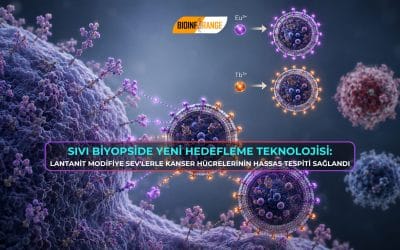 Sıvı Biyopside Yeni Hedefleme Teknolojisi: Lantanit Modifiye sEV’lerle Kanser Hücrelerinin Hassas Tespiti Sağlandı