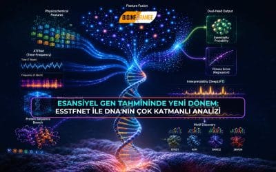 Esansiyel Gen Tahmininde Yeni Dönem: EssTFNet ile DNA’nın Çok Katmanlı Analizi