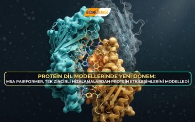 Protein Dil Modellerinde Yeni Dönem: MSA Pairformer, Tek Zincirli Hizalamalardan Protein Etkileşimlerini Modelledi