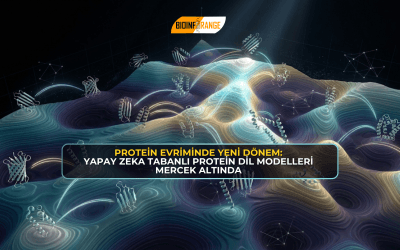 Protein Evriminde Yeni Dönem: Yapay Zeka Tabanlı Protein Dil Modelleri Mercek Altında
