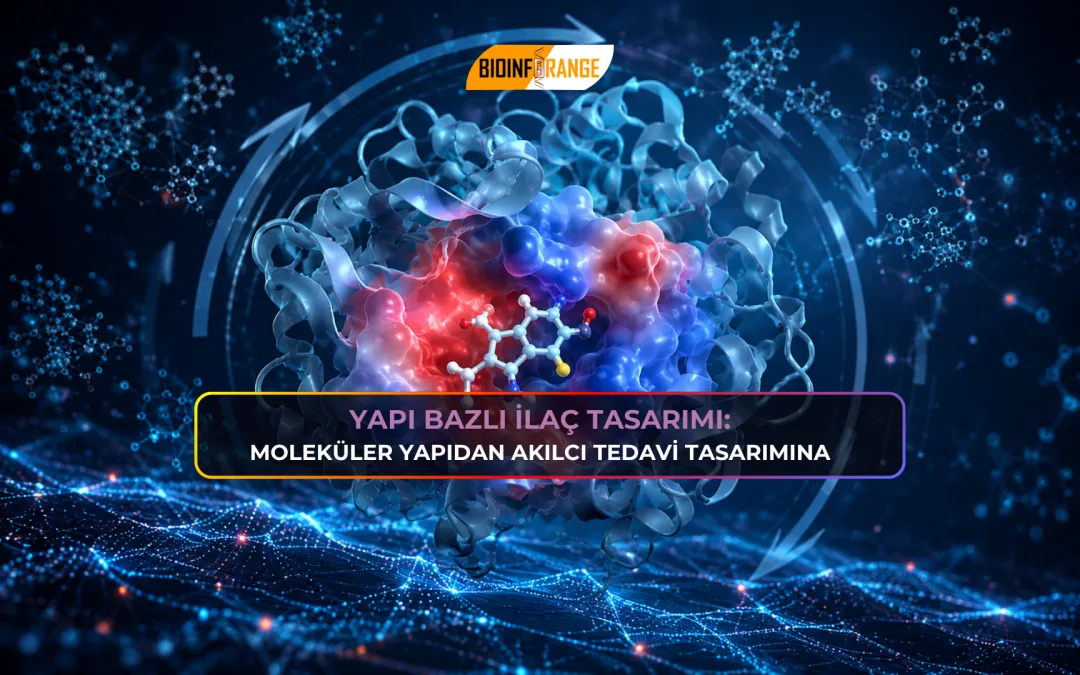 Yapı Bazlı İlaç Tasarımı : Moleküler Yapıdan Akılcı Tedavi Yaklaşımına